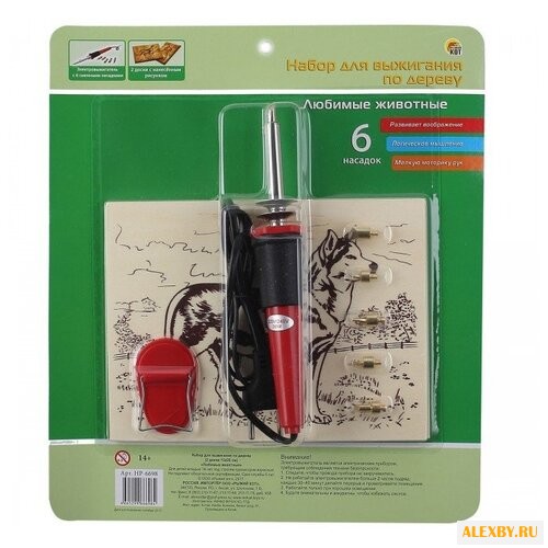 Рыжий кот Набор для выжигания