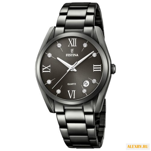 Наручные часы FESTINA F16866 2