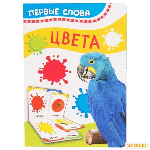 Первые слова. Цвета