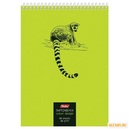 Скетчбук Hatber Лемур 21 х