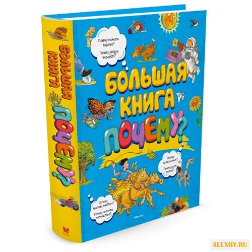Большая книга Почему?