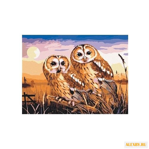 Рыжий кот Картина по номерам