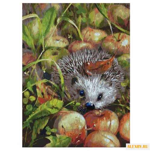 Белоснежка Картина по номерам