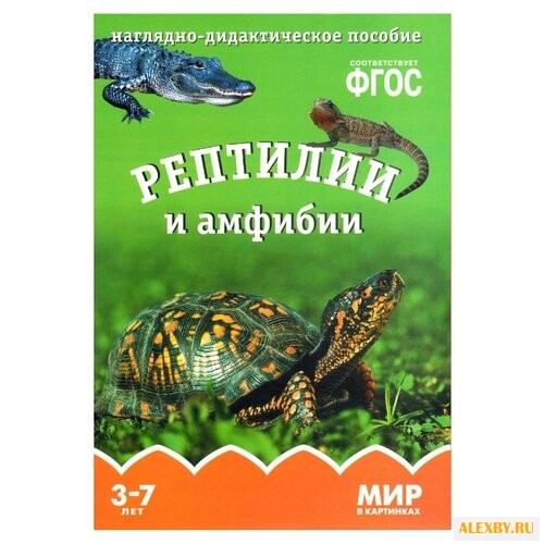 Набор карточек Мозаика-Синтез