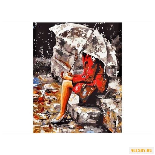 Paintboy Картина по номерам