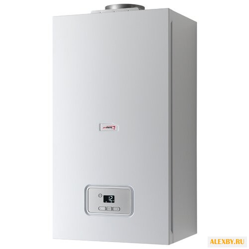 Газовый котел Protherm Гепард