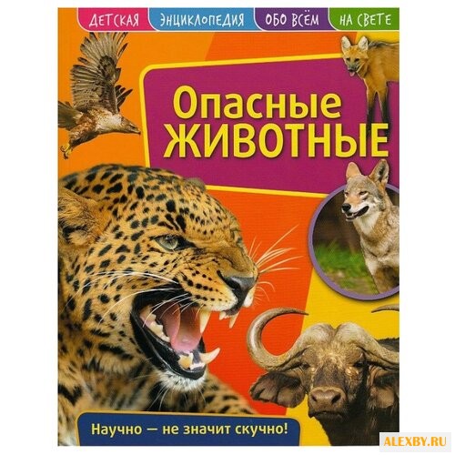 Детская энциклопедия. Опасные