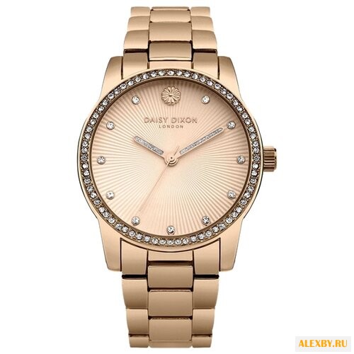 Наручные часы DAISY DIXON