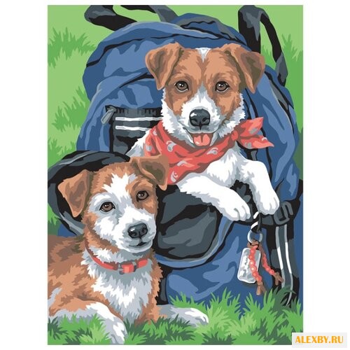 Color Kit Картина по номерам В