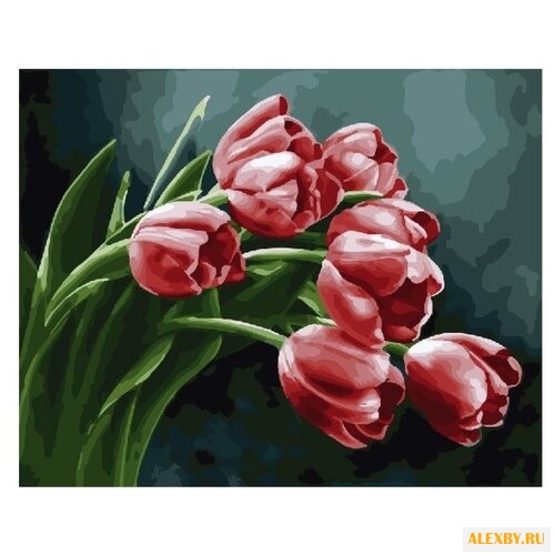 Color Kit Картина по номерам