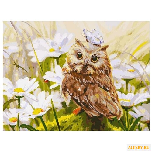 Белоснежка Картина по номерам