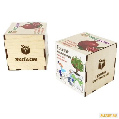 Набор Эко Клуб Гранат карликовый