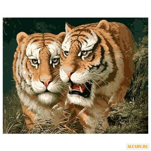 Рыжий кот Картина по номерам