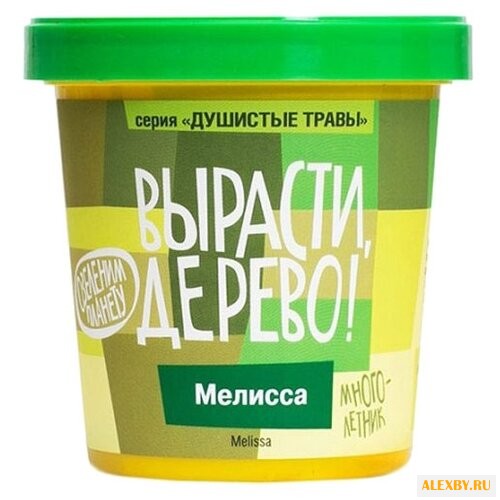 Набор для выращивания Вырасти