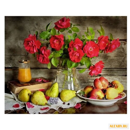 Molly Картина по номерам Летом