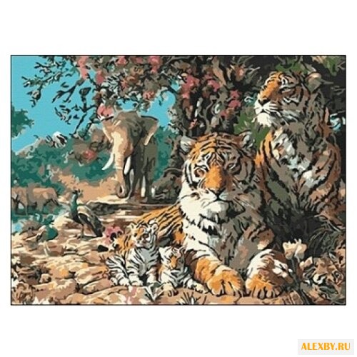 Рыжий кот Картина по номерам