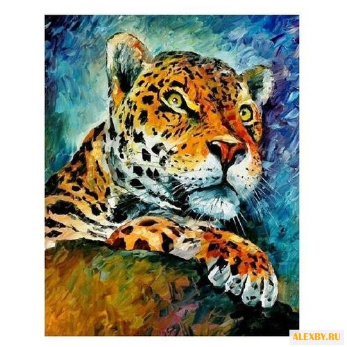 Molly Картина по номерам