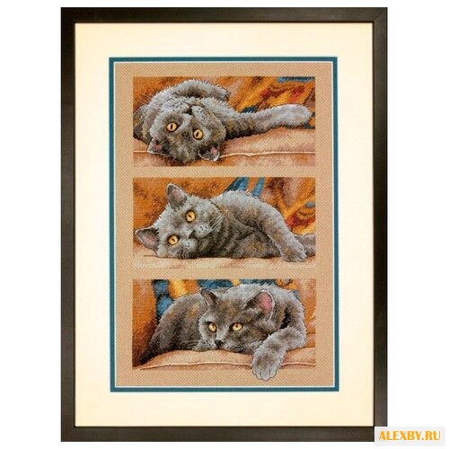 Dimensions Набор для вышивания