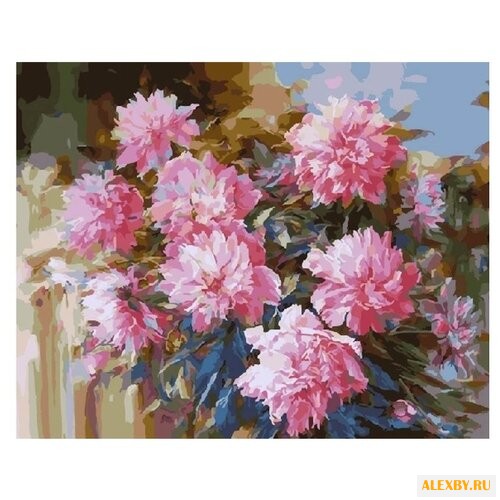 Color Kit Картина по номерам