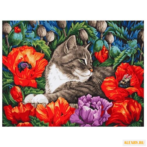 Белоснежка Картина по номерам