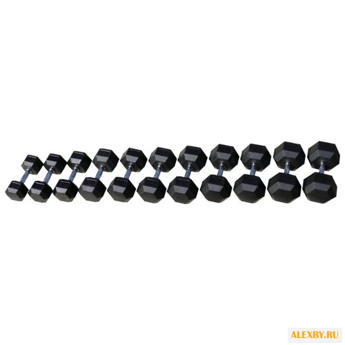 Набор гантелей неразборных Body