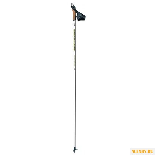 Лыжные палки Fischer RC3