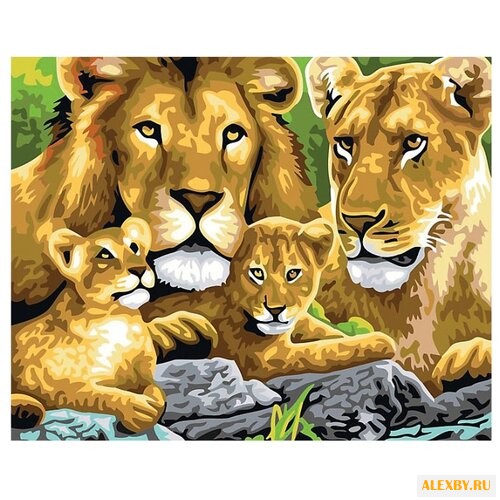 Рыжий кот Картина по номерам