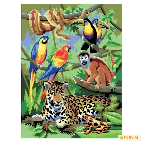 Royal & Langnickel Раскраска по