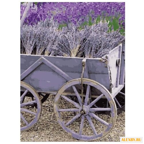 Menglei Картина по номерам