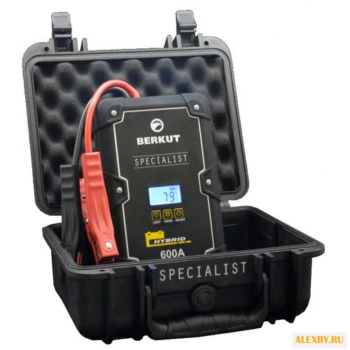 Пусковое устройство BERKUT