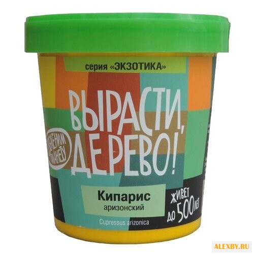 Набор для выращивания Вырасти