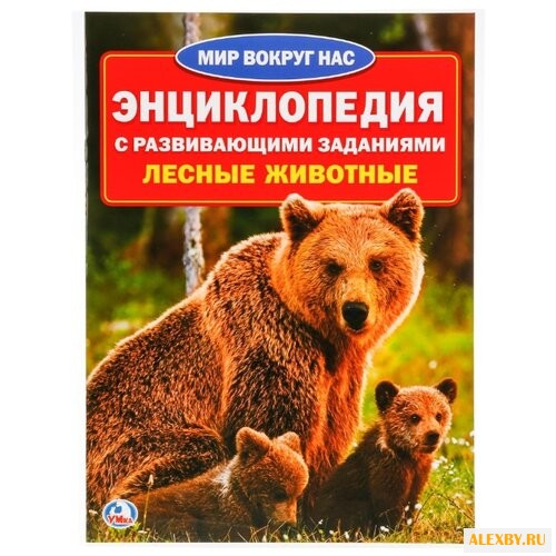 Лесные животные. Энциклопедия с