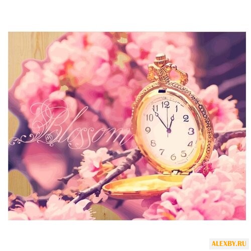 Color Kit Картина по номерам