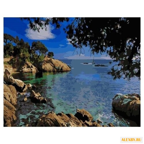 Paintboy Картина по номерам