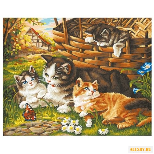 Рыжий кот Картина по номерам