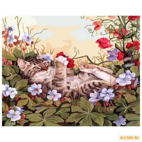 Белоснежка Картина по номерам