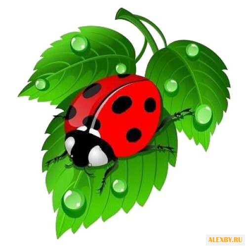 Алмазная живопись Набор