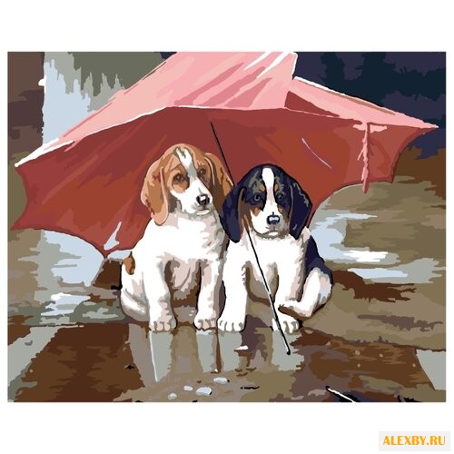 Menglei Картина по номерам