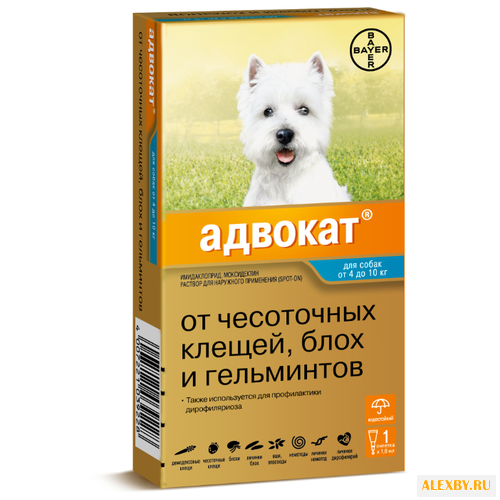 Адвокат Bayer Адвокат для собак