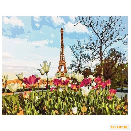 Paintboy Картина по номерам