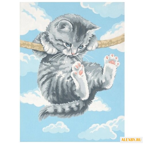 Dimensions Картина по номерам