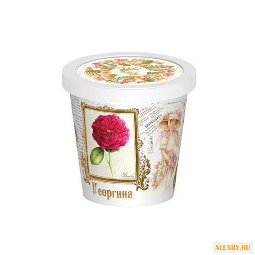 Набор для выращивания Rostok