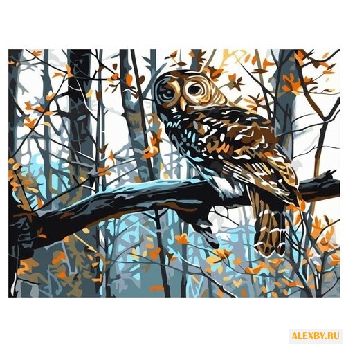 Paintboy Картина по номерам