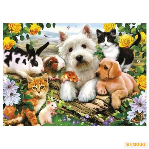 Рыжий кот Картина по номерам