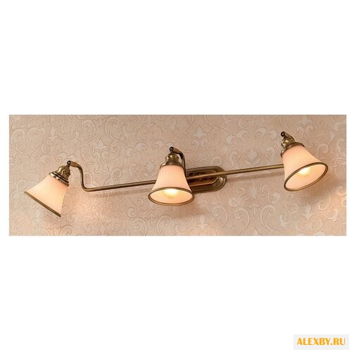 Спот Citilux Прованс CL511533