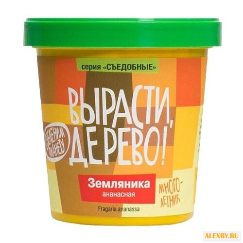 Набор для выращивания Вырасти