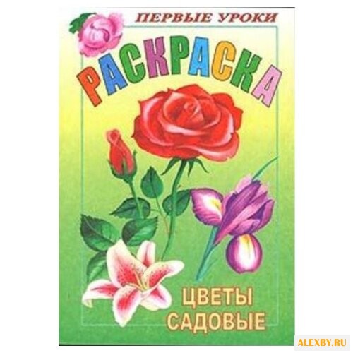 Hatber Раскраска. Первые уроки.