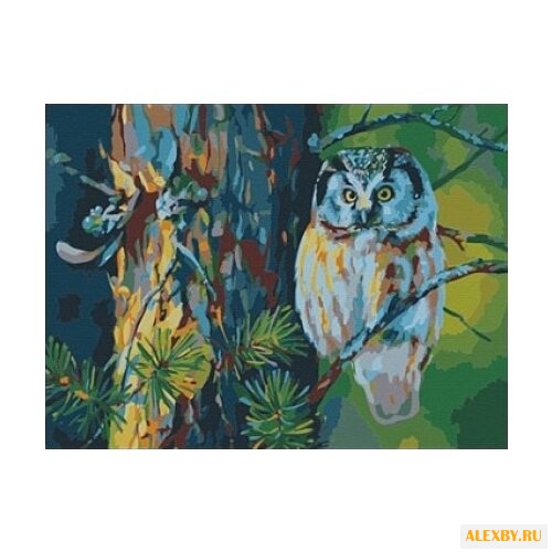 Рыжий кот Картина по номерам