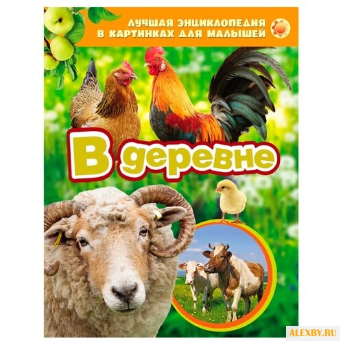 Лучшая энциклопедия в картинках