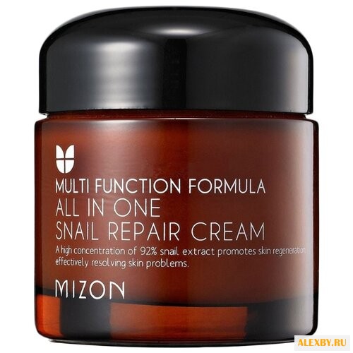 Mizon All in one snail repair